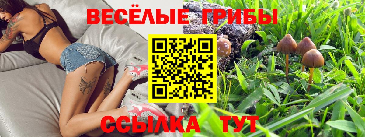 купить наркотики сайты  Галлюциногенные грибы Psilocybine cubensis  Вход с VPN  Псилоцибиновые грибы Cubensis  Краснокамск 